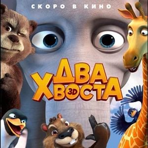 Foto Animais em Apuros