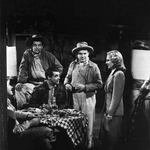 Foto Paraíso Infernal