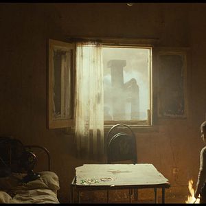 Foto O Truque da Galinha