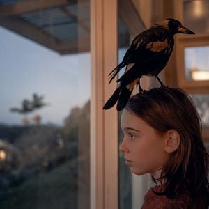 Foto Um Milagre Inesperado