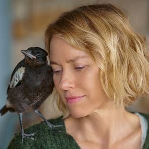 Foto Um Milagre Inesperado