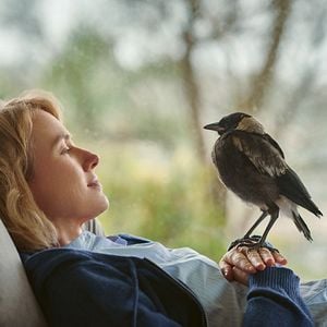 Foto Um Milagre Inesperado