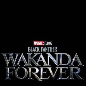 Foto Pantera Negra: Wakanda Para Sempre