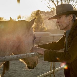 Foto Cry Macho - O Caminho Para a Redenção