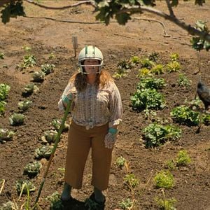 Foto Um Ninho Para Dois