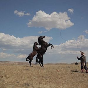 Foto Meus Heróis Eram Cowboys