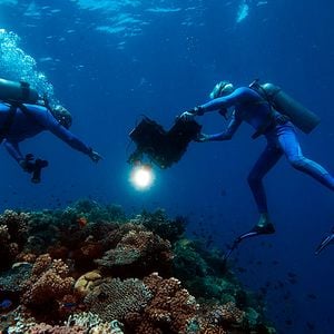 Foto Wonders of the Sea 3D