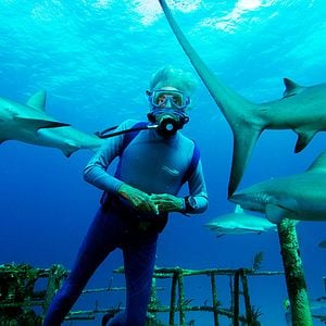 Foto Wonders of the Sea 3D