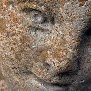 Foto Her Socialist Smile