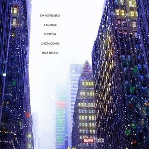 Foto Gavião Arqueiro