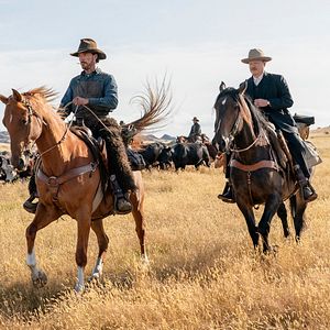 Foto Ataque dos Cães