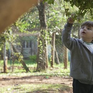 Foto Não me Esqueci de Você