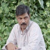 Foto Shankar's Fairies