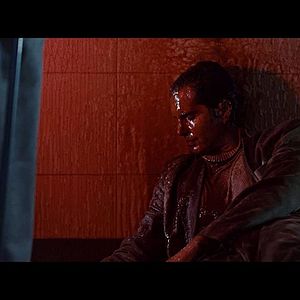 Foto Criatura Maligna