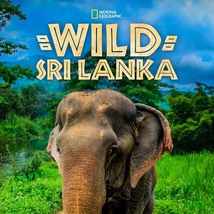 Foto Sri Lanka Selvagem