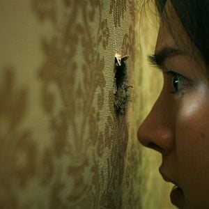 Foto Segredos nas Paredes