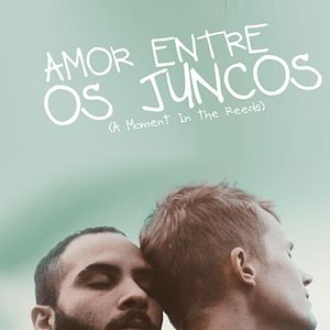 Foto Amor Entre os Juncos