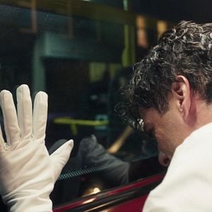 Foto Cavaleiro da Lua