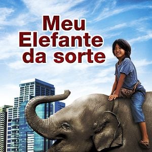 Foto Meu Elefante da Sorte