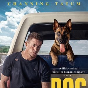 Foto Dog - A Aventura de Uma Vida