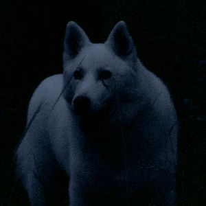 Foto El Gran Movimiento