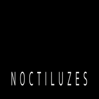 Foto Noctiluzes