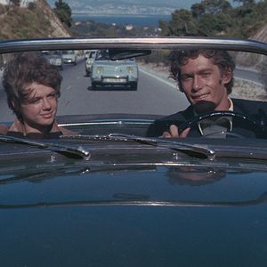 Foto Les Jeunes loups