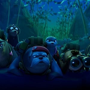 Foto Companhia das Focas