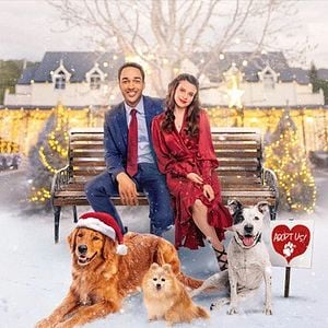 Foto Adotando Amor no Natal