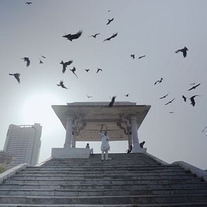 Foto Tudo o Que Respira