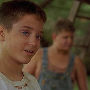 Foto A Árvore dos Sonhos