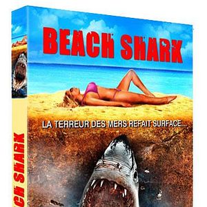 Foto Tubarões da Areia