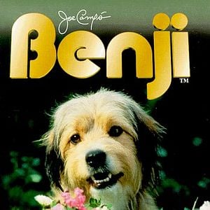 Foto Benji