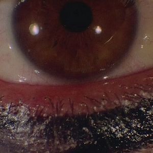 Foto Prelúdio para Matar