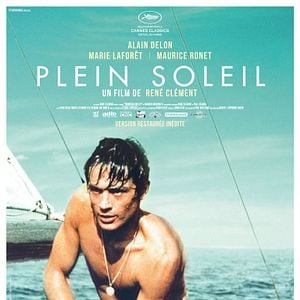 Foto O Sol por Testemunha