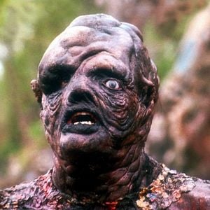 Foto O Vingador Tóxico