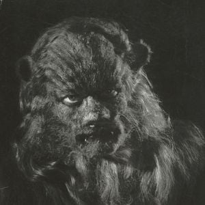 Foto A Bela e a Fera