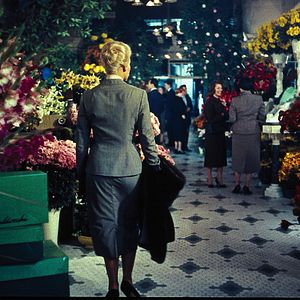 Foto Um Corpo que Cai