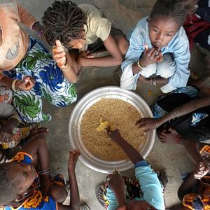 Foto Grand comme le Baobab