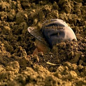 Foto Fly with the crane