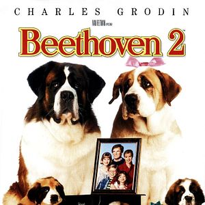 Foto Beethoven 2