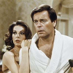 Foto Gato em Teto de Zinco Quente