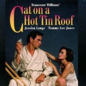 Foto Gato em Teto de Zinco Quente