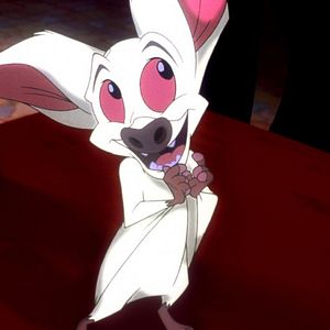 Foto Bartok, o Magnífico