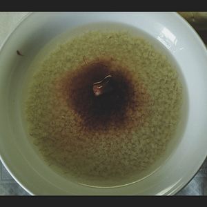 Foto A Maldição de Helena