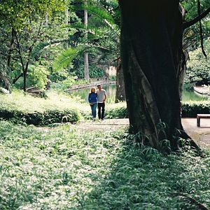 Foto O Sol nos Meus Olhos