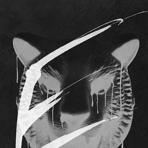 Foto Você é o Próximo