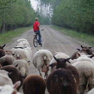 Foto A Guerra de Weibo