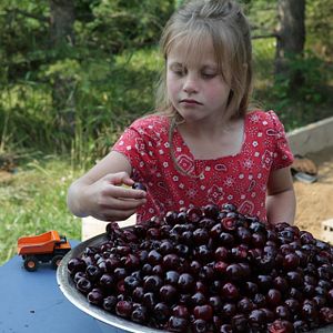 Foto A Guerra de Weibo