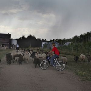 Foto A Guerra de Weibo